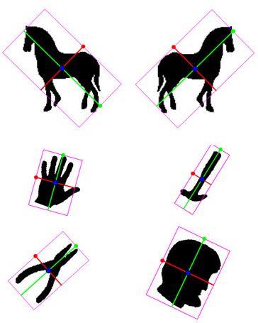 exampleshapes