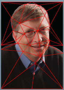 mesh mesh